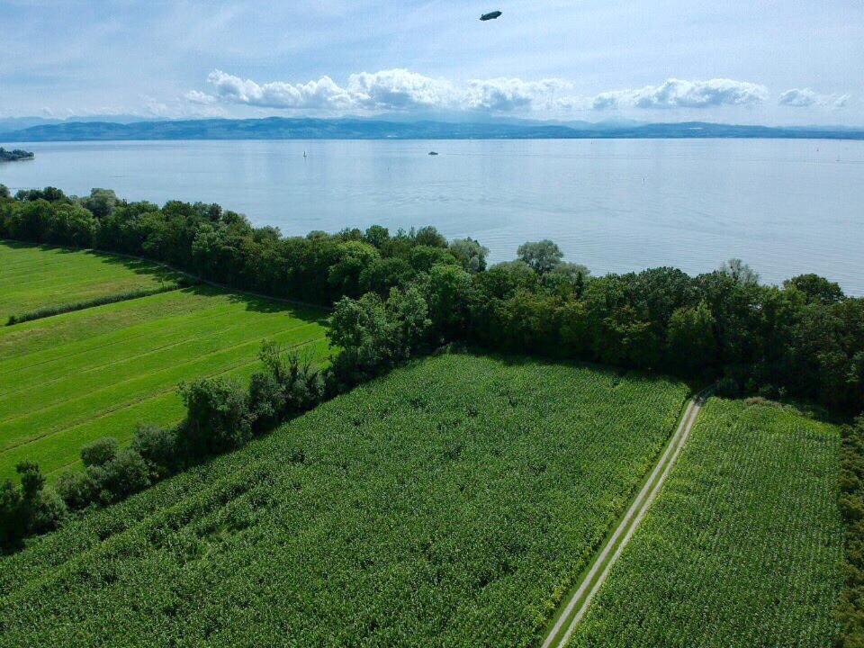 Wohlfuehlloft Seekretzer Mit Privatem Seezugang FDH Exteriör bild
